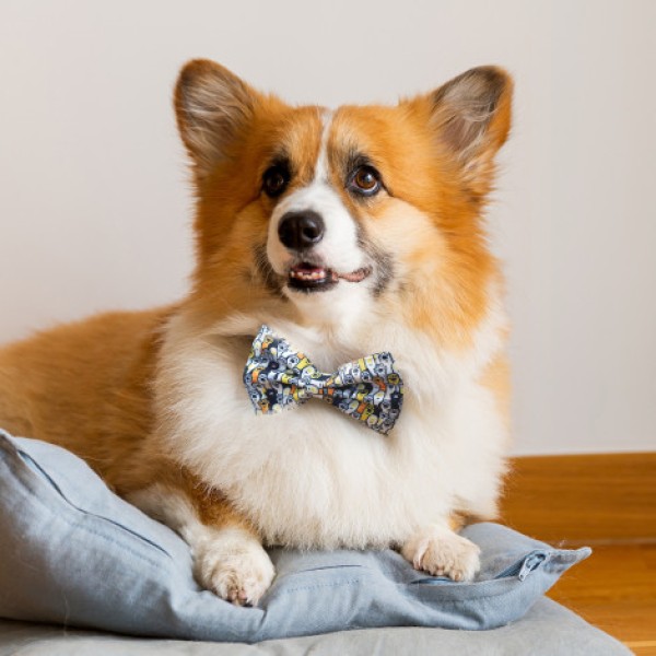 Amigo Pet Bow Tie Promotional Products, Corporate Gifts and Branded Apparel