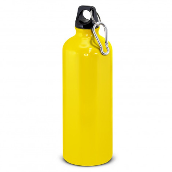 Intrepid Bottle - 800ml Promotional Products, Corporate Gifts and Branded Apparel