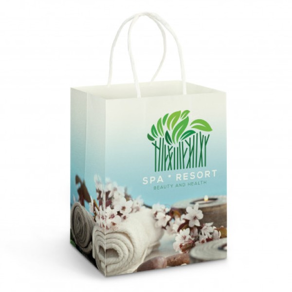 Large Paper Carry Bag - Full Colour Promotional Products, Corporate Gifts and Branded Apparel
