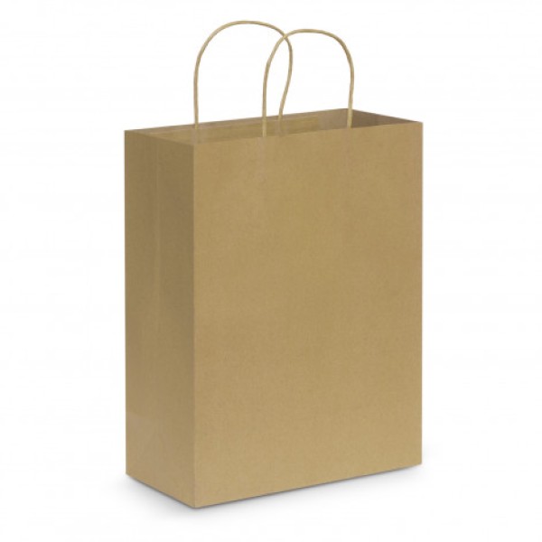 Paper Carry Bag - Large Promotional Products, Corporate Gifts and Branded Apparel