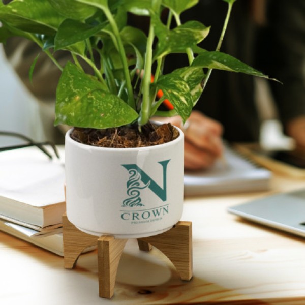 Planter with Bamboo Base Promotional Products, Corporate Gifts and Branded Apparel